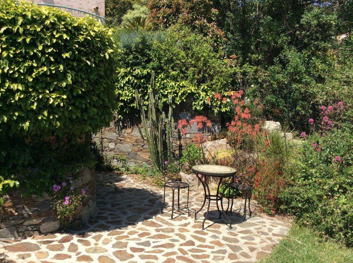 Villa Du Bau Rouge Carqueiranne Luaran gambar